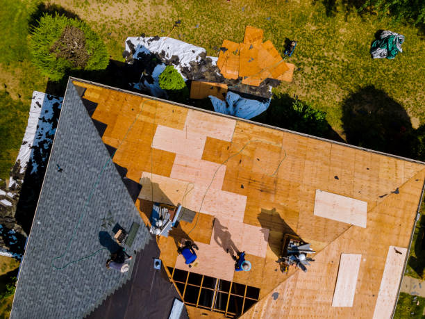 Best Flat Roof Repair Services  in Conehatta, MS
