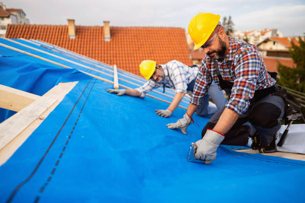 Best Local Roofing Companies  in Conehatta, MS