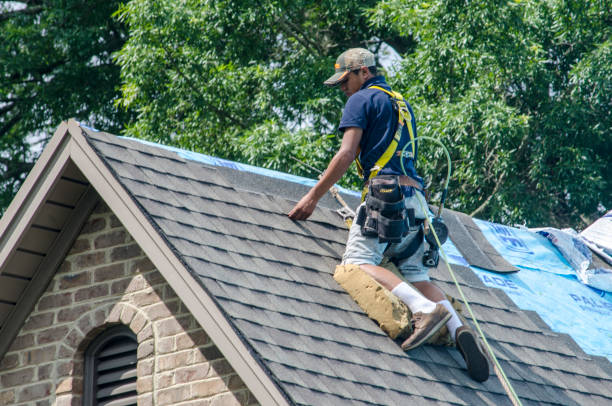 Best Shingle Roofing Installation  in Conehatta, MS